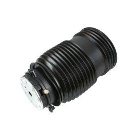 comprar Mercedes Benz 2053200125 Peças do chassi Primavera de ar online manufacture