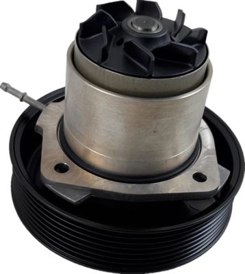 95810603303 Partes do motor Bomba de água