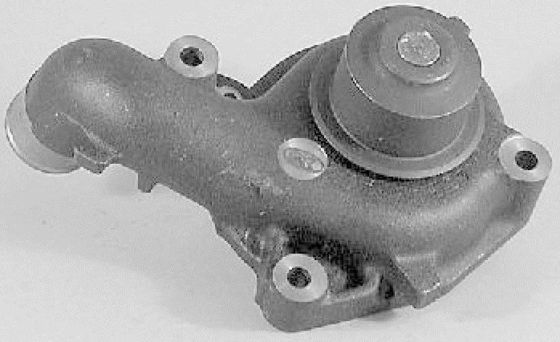 5020242 Partes do motor Bomba de água