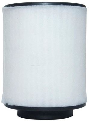4H0129620L Partes do motor Filtro de ar