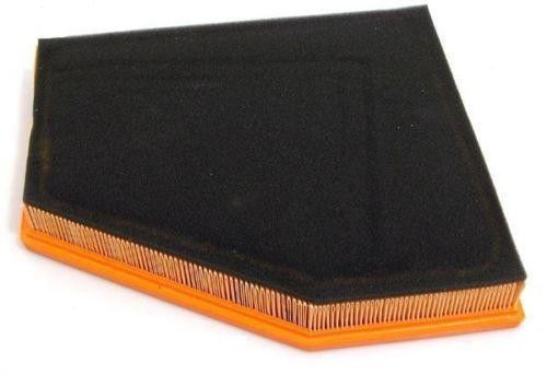 13717793647 Partes do motor Filtro de ar