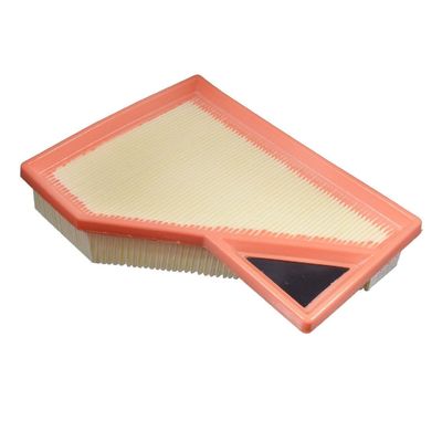 13727529261 Partes do motor Filtro de ar