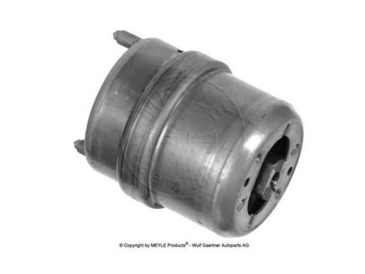 7D0199132D Partes do motor
