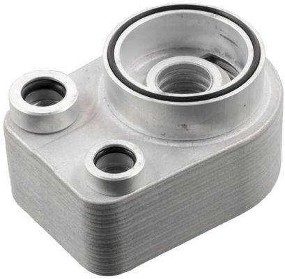 213059324R Partes do motor Refrigerador de óleo
