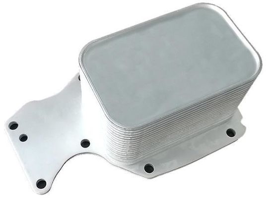 11428574005 Peças do motor BMW Refrigerador de óleo