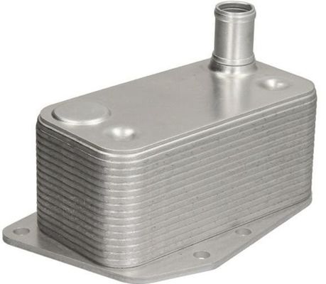 11427787698 Peças para motor BMW