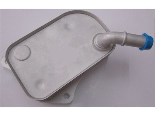 06B117021 Partes do motor Refrigerador de óleo