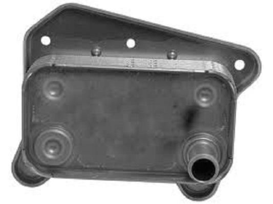6111880101 Partes do motor Refrigerador de óleo