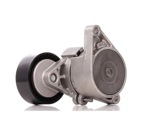 BMW 11281433571 Peças do motor A/C Serpentine Belt Tensioner com pole