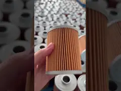 8W0133843C Partes do motor Filtro de ar